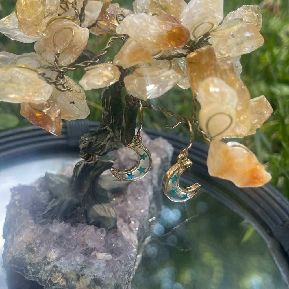 Moon Star Dangling Earrings